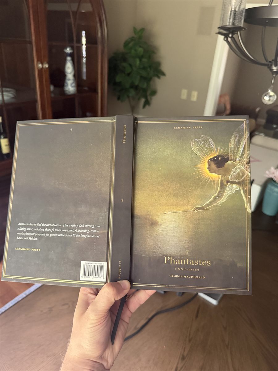The case opened flat: back cover with blurb, spine, and gold-foiled front